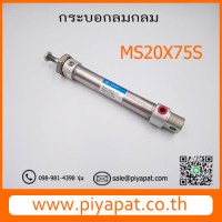 MS20X75S รูปโชว์
